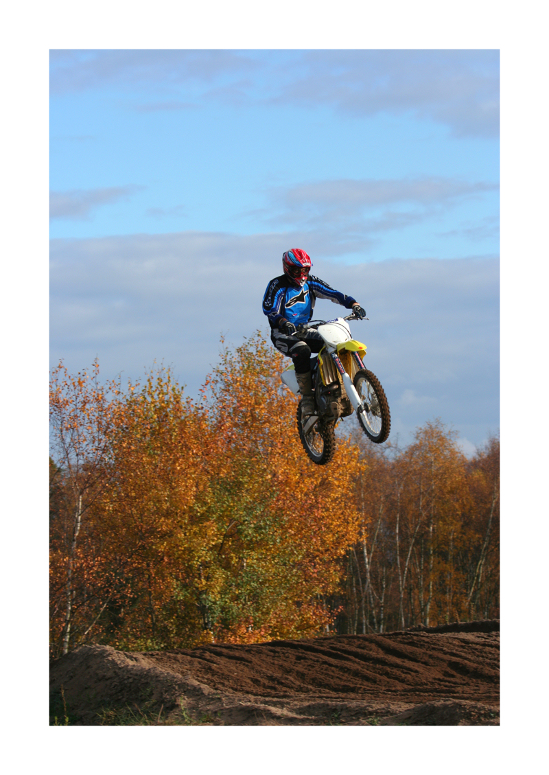 Springer Nr. 2